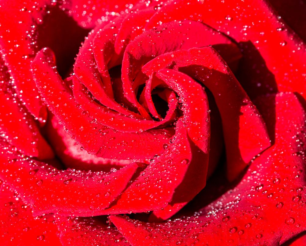 Фотография автора Людмила Прокофьева