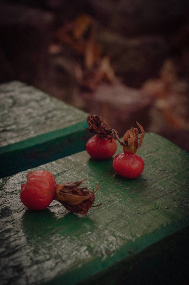 Фотография автора Ксения Вабищевич