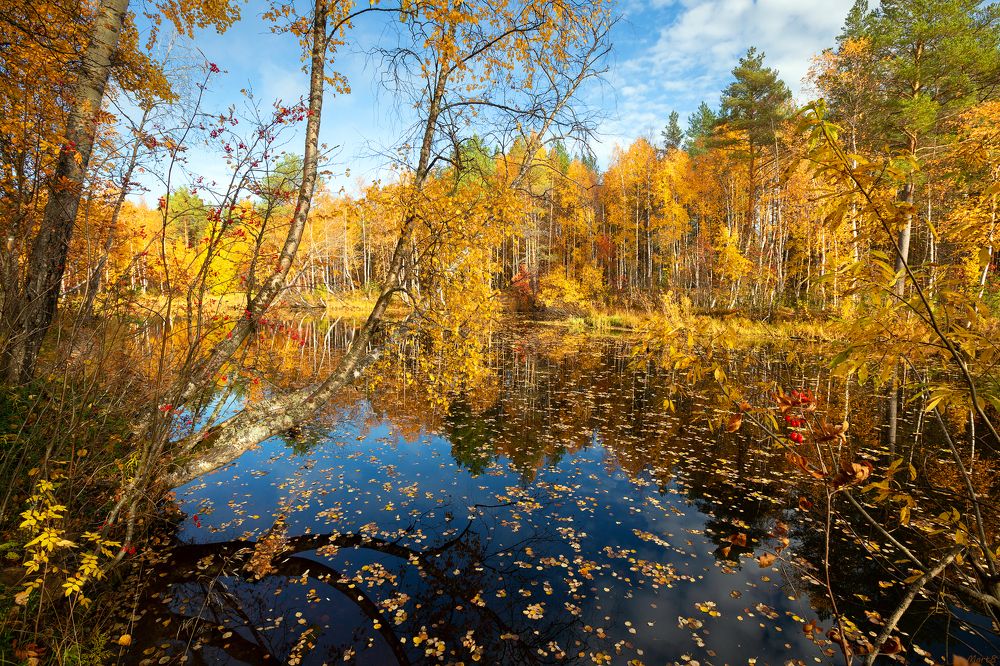 Photograph by Александр Кузнецов