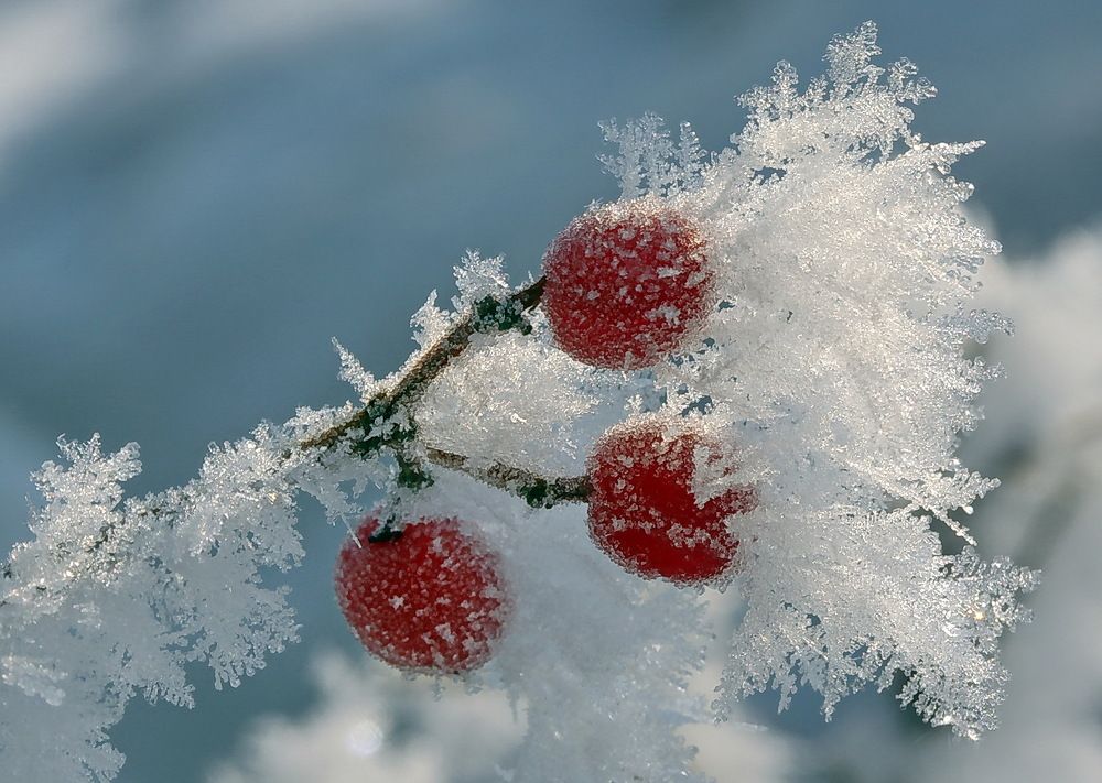 Photograph by Koledova Irina