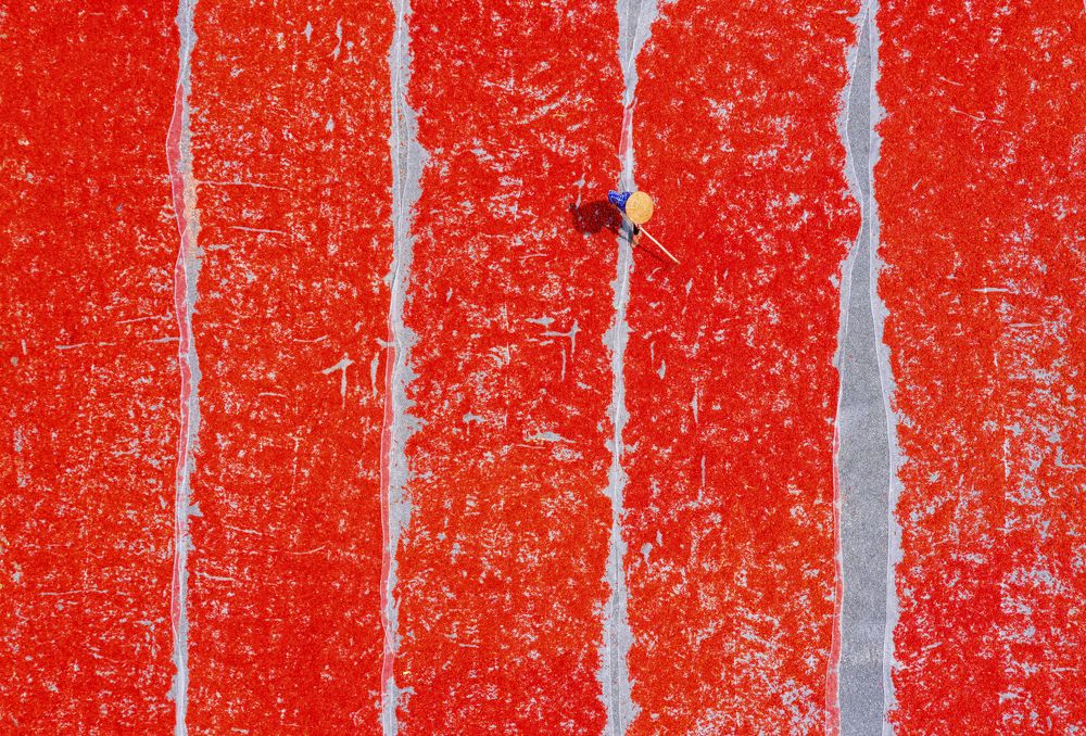 Photograph by Tuấn Nguyễn Tấn