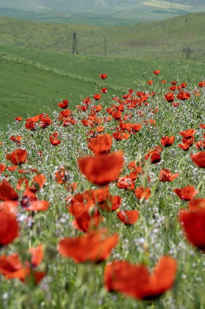 Photograph by Ивлев Артем