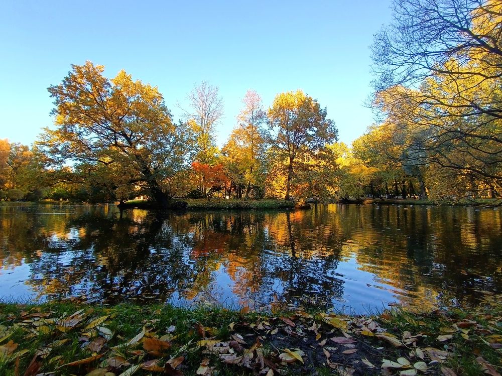 Photograph by Olga Kot