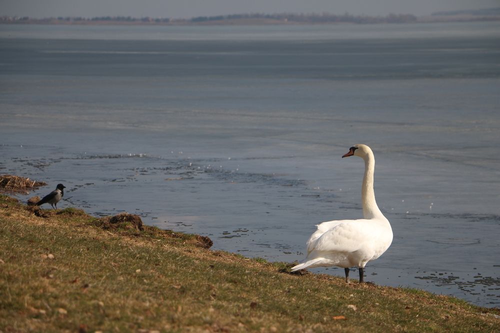 Фотография автора Анатолий Дауров