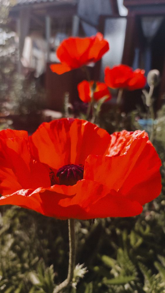 Photograph by Глушакова Татьяна Николаевна