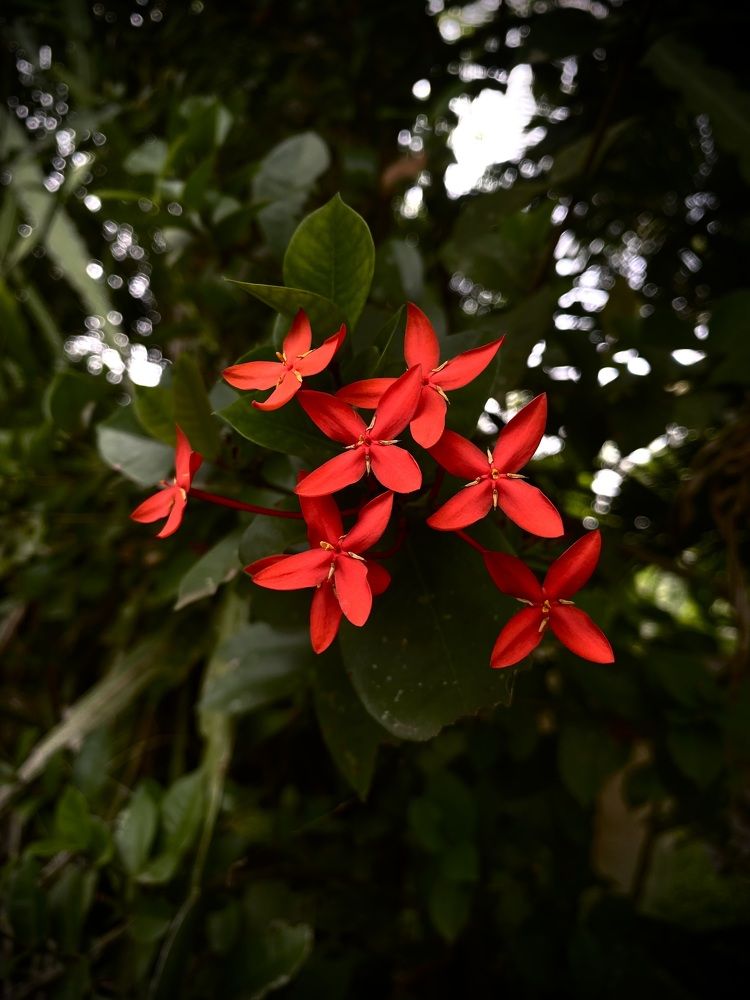 Photograph by Naveena Wimalarathne