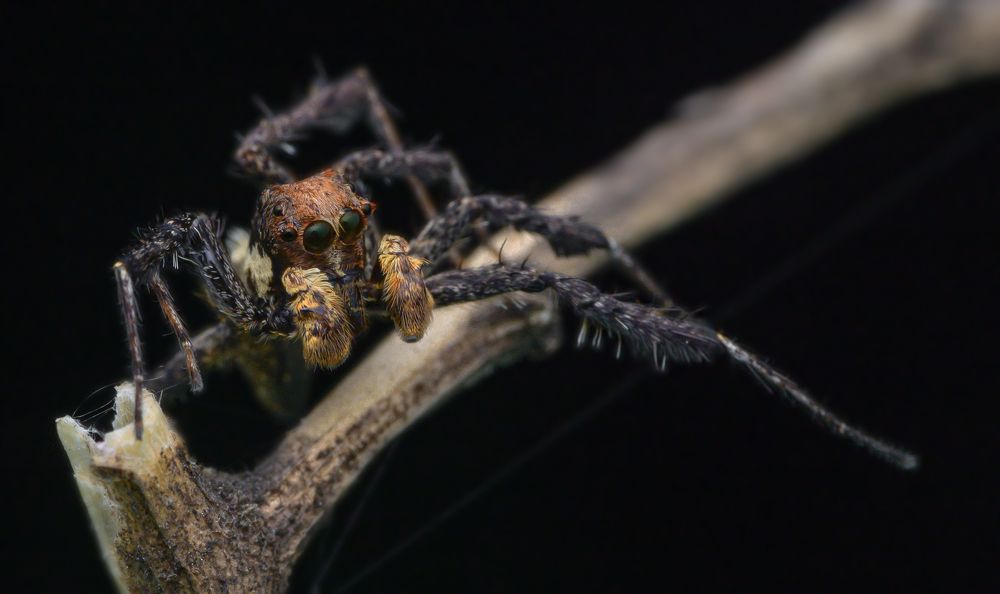 Photograph by typhoon