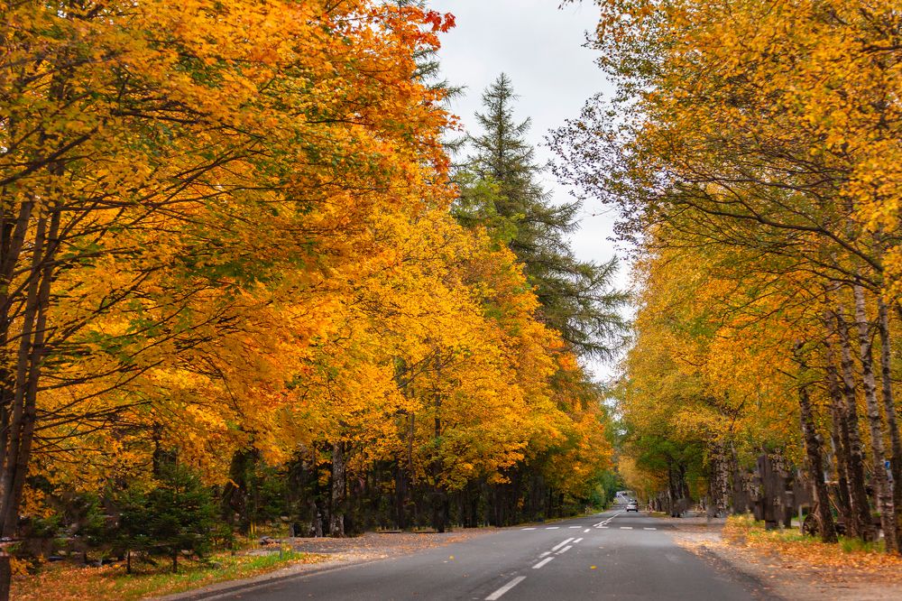 Фотография автора Людмила Прокофьева