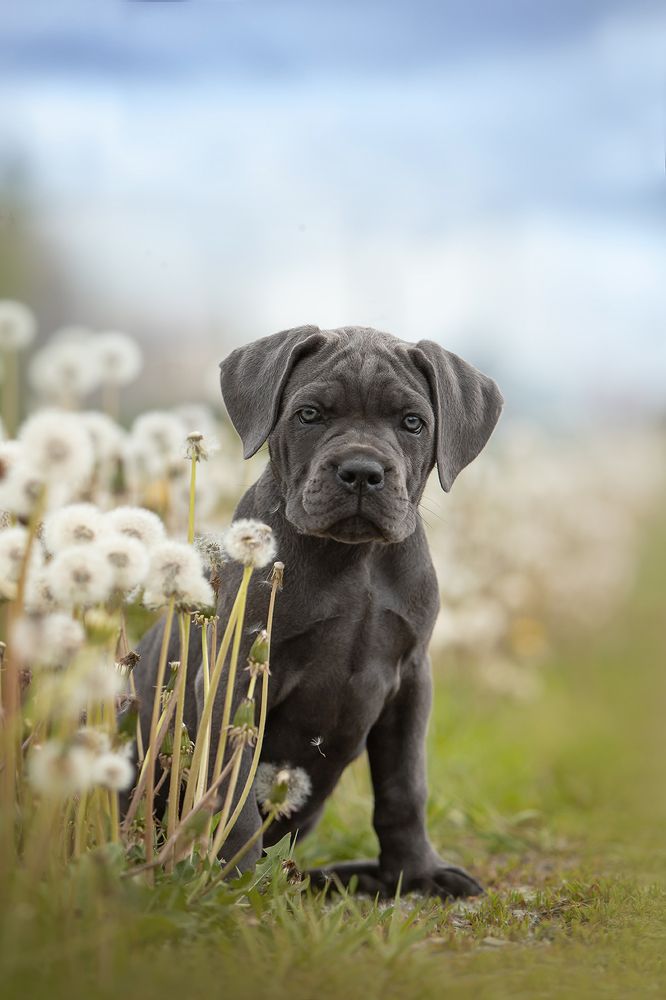 Photograph by Ольга Легенькая