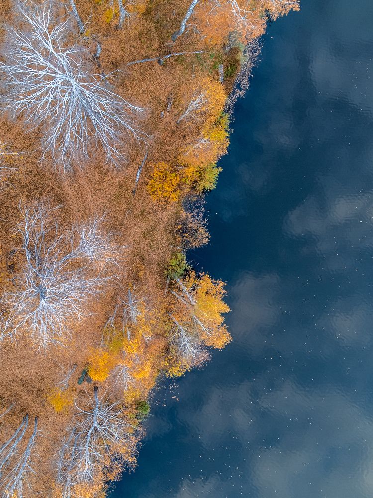 Photograph by Дарья Карамышева