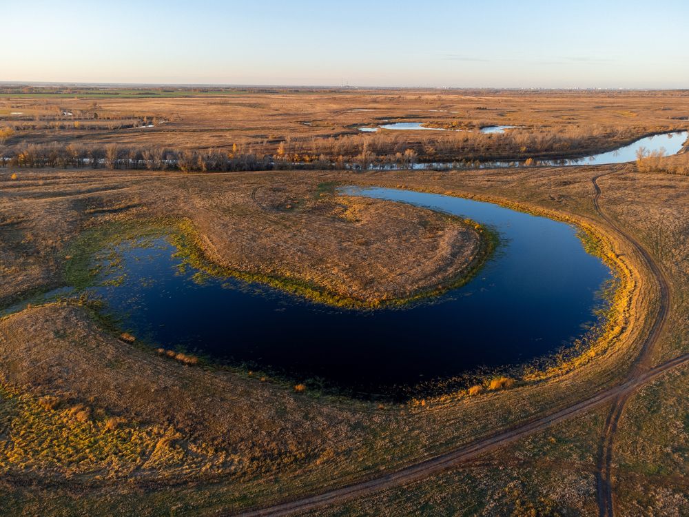 Photograph by Дарья Карамышева