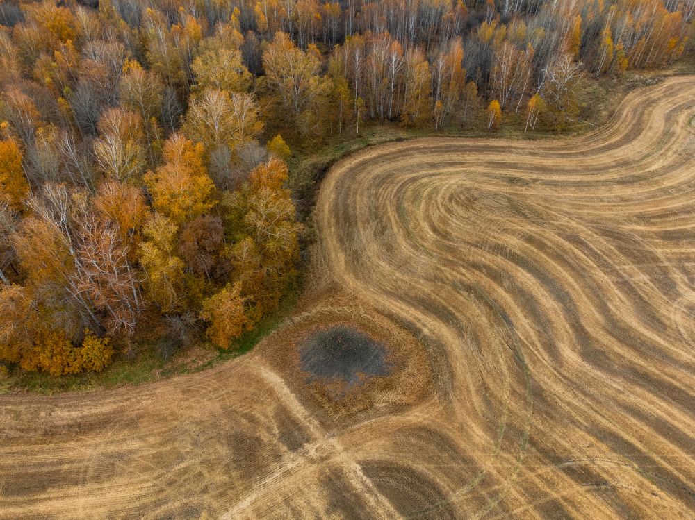 Photograph by Дарья Карамышева