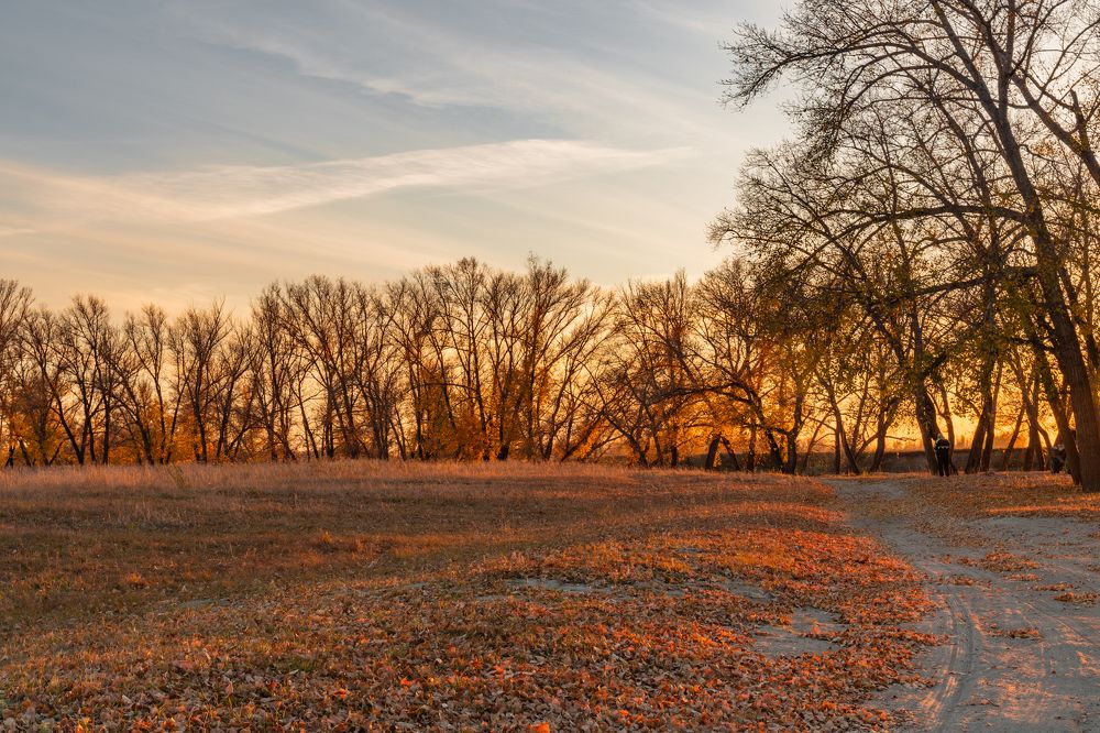 Photograph by Дарья Карамышева