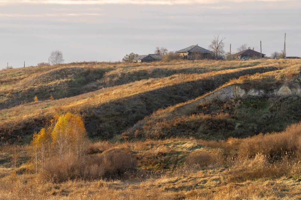 Photograph by Дарья Карамышева