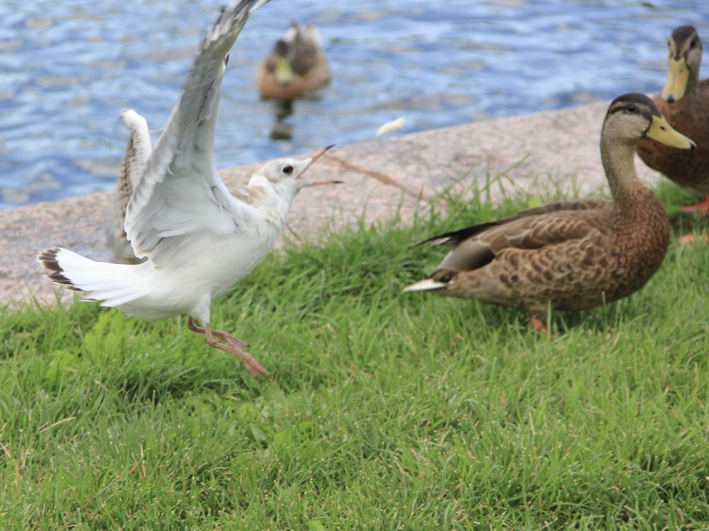 Photograph by Екатерина Мирошникова