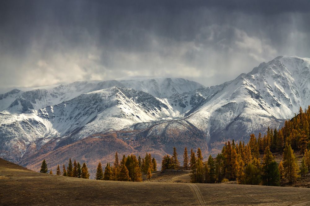Фотография автора Марина Юдинских