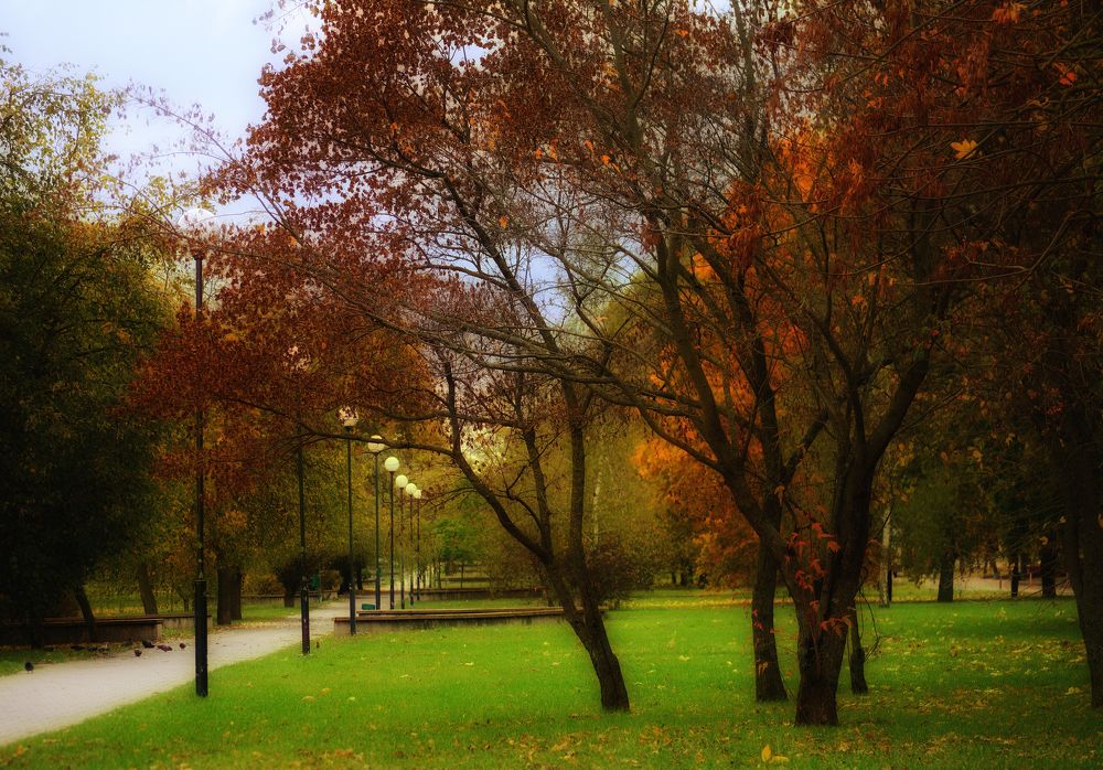 Photograph by Сергей Симаков