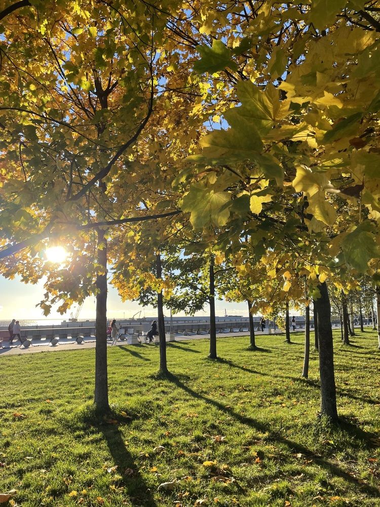 Photograph by Екатерина Мирошникова