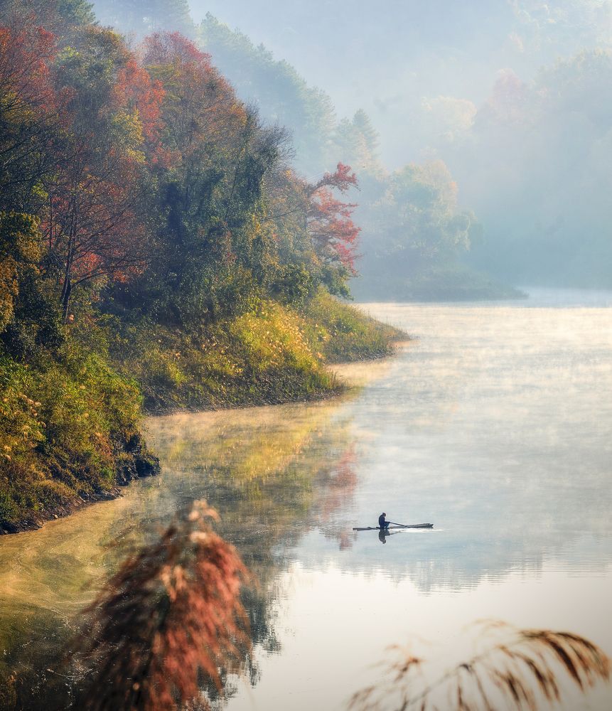 Photograph by Tuấn Nguyễn Tấn