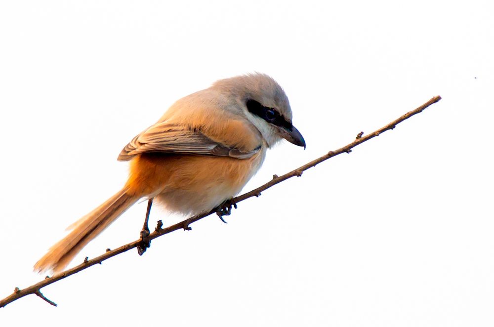 Фотография автора Людмила Прокофьева