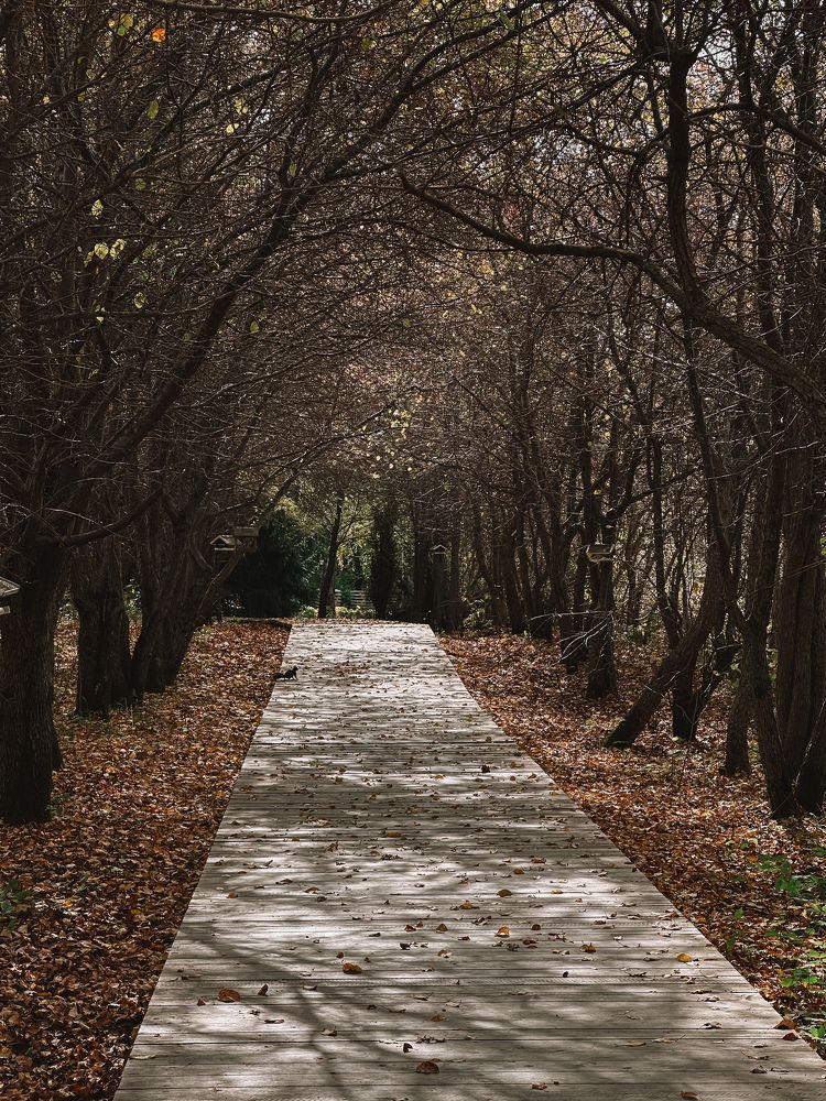 Photograph by Дина Чехова