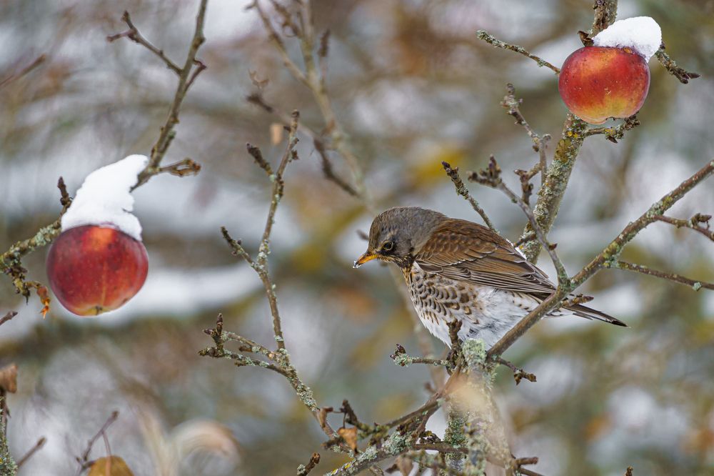 Photograph by Valdis Serzhans