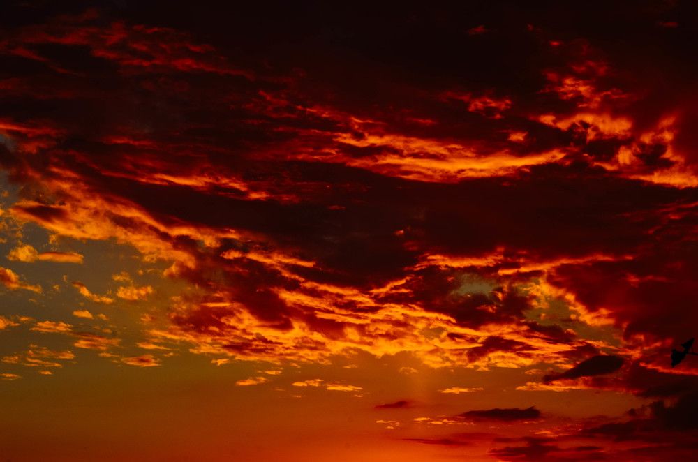 Photograph by Дмитрий Педченко