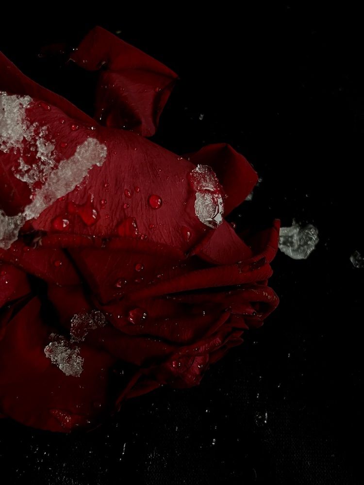 Photograph by Екатерина Мирошникова