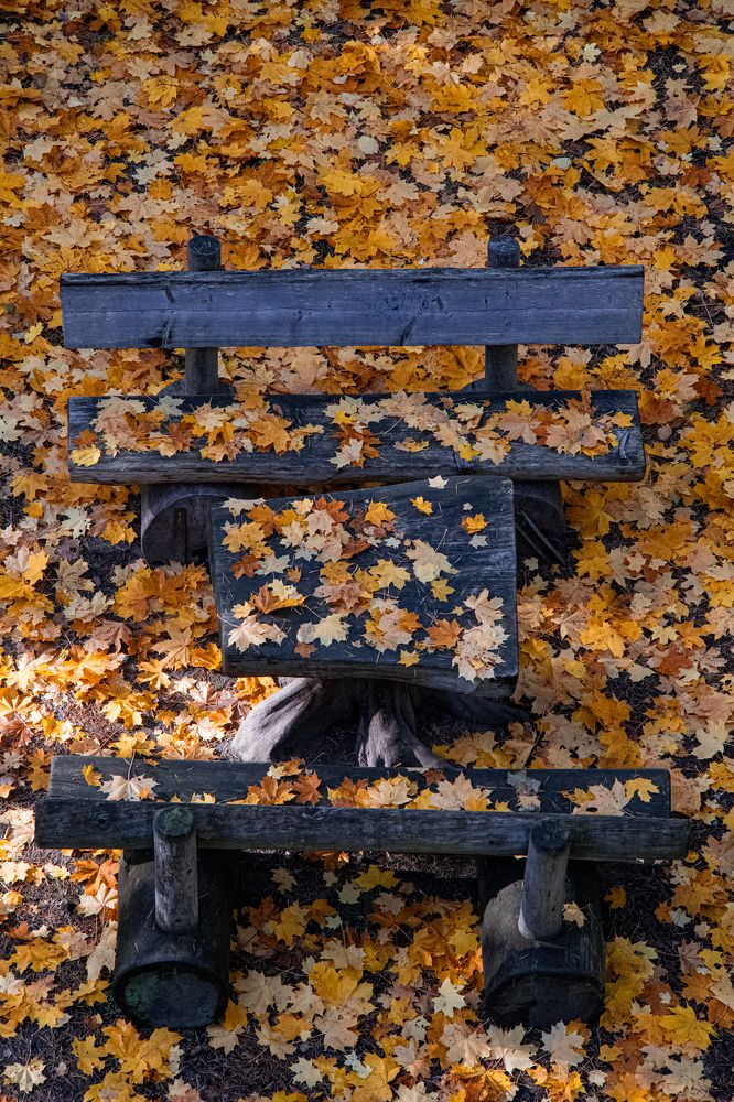 Photograph by Саша Зугров