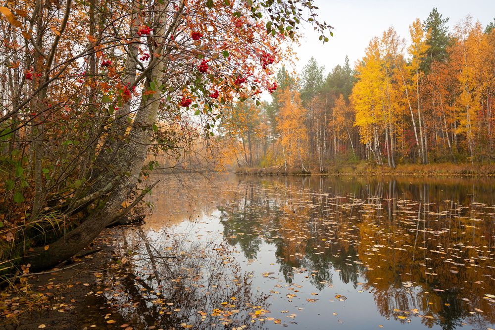 Photograph by Александр Кузнецов