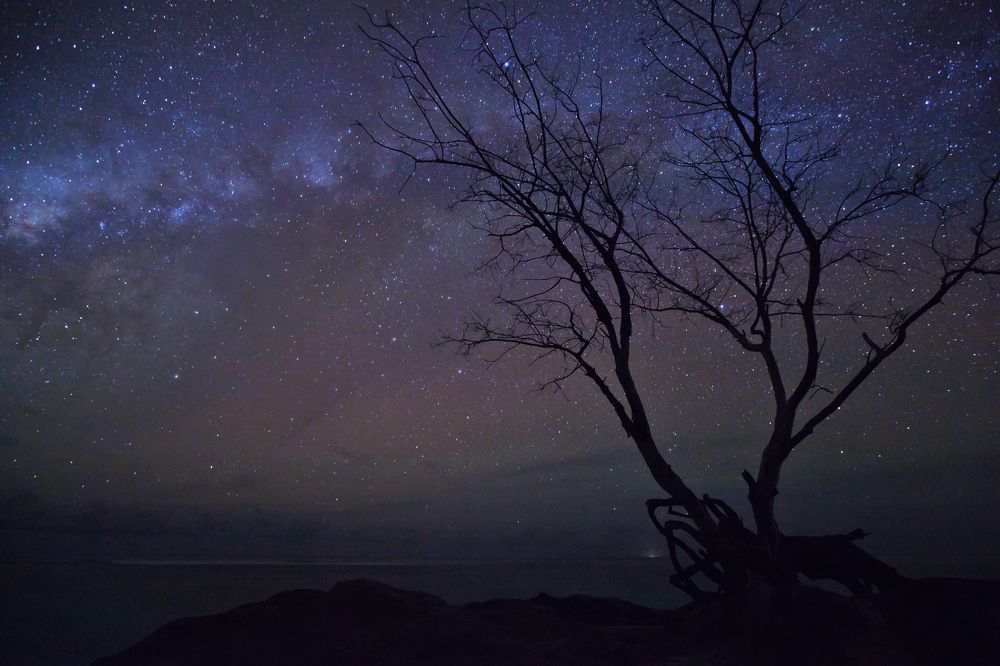 Фотография автора Людмила Прокофьева