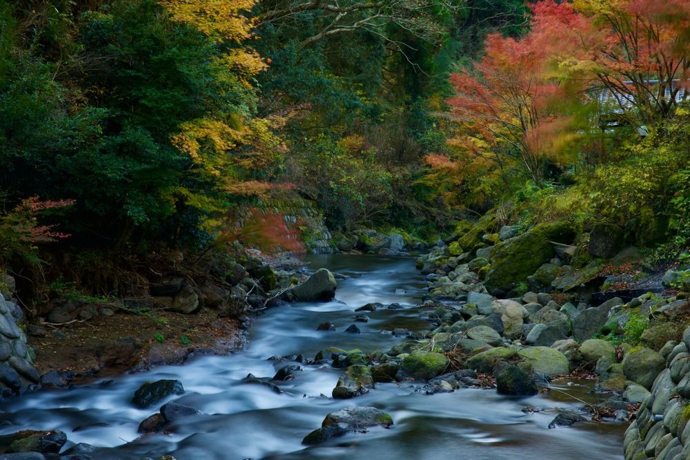 Фотография автора Boris Konovalov