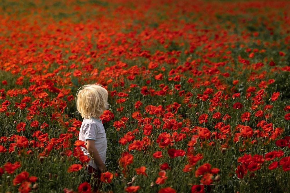 Photograph by Jo Martindale