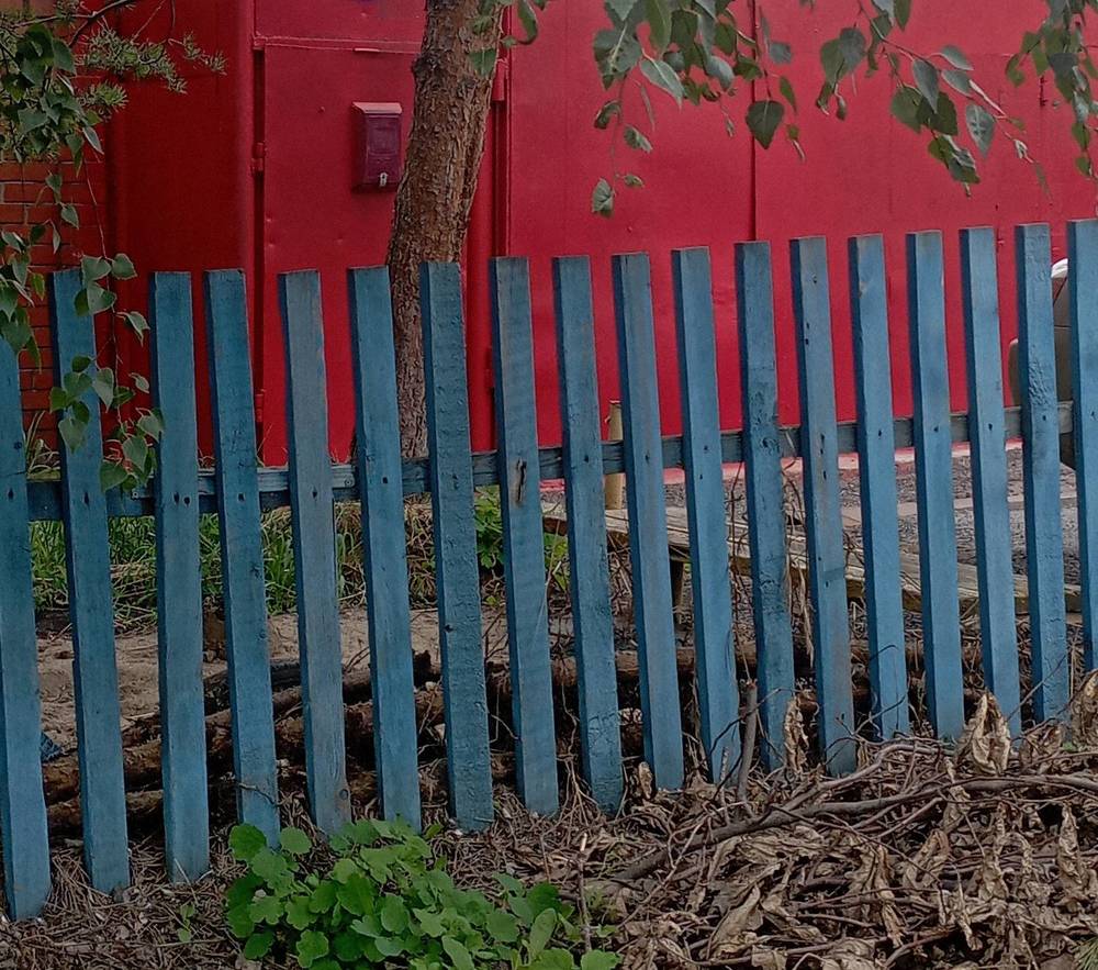 Photograph by Анастасия Кичигина