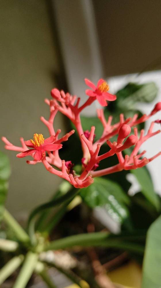 Photograph by Анастасия Кичигина