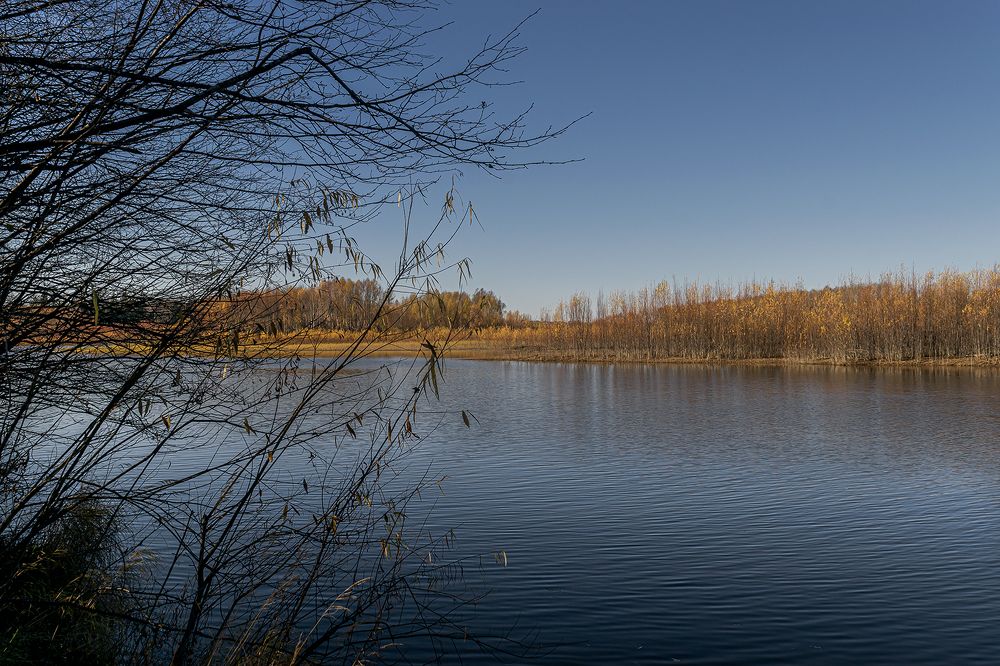 Есть в осени свое очарование