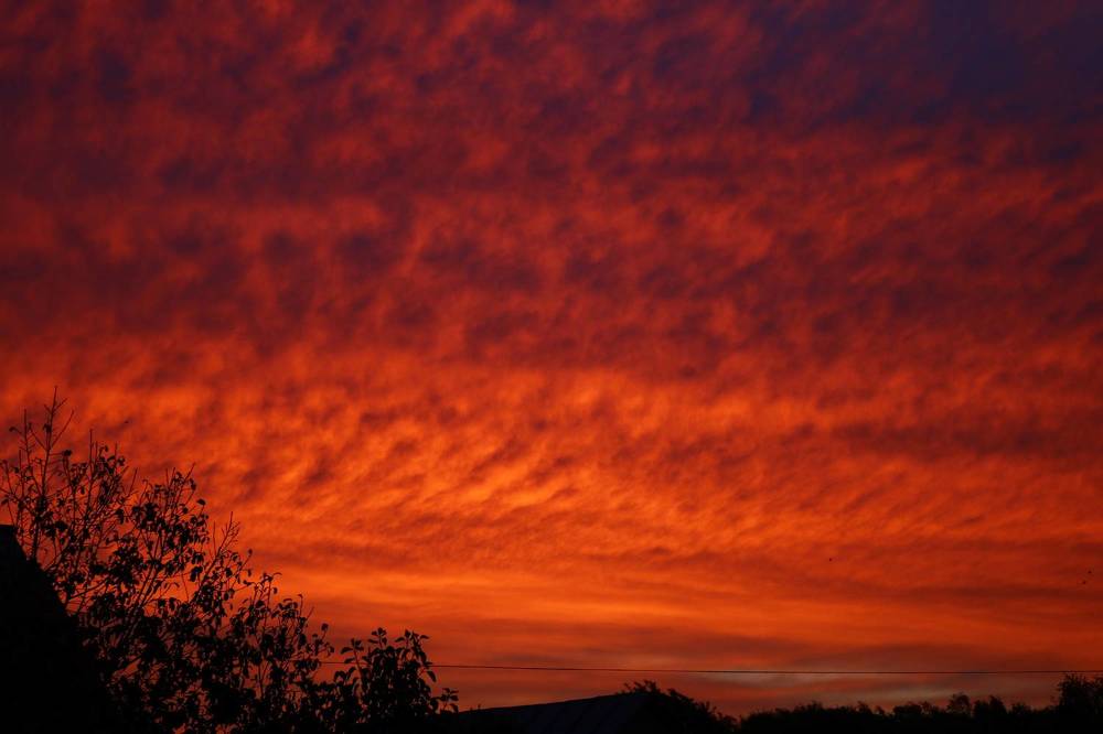 Photograph by Светлана Шуткова