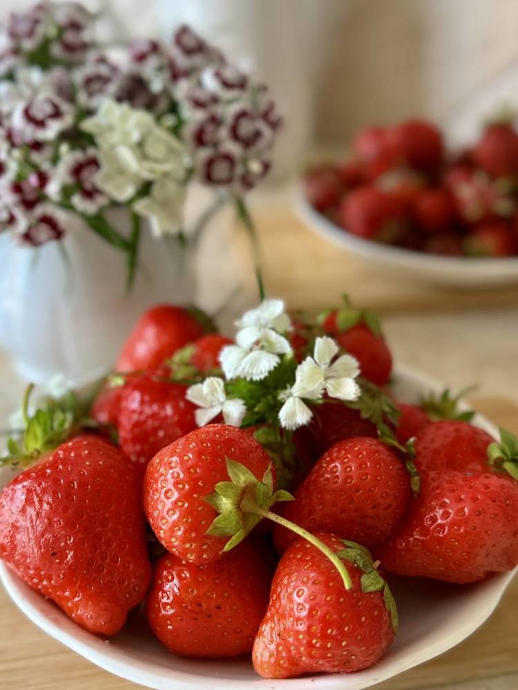 Photograph by Алена Ходатович