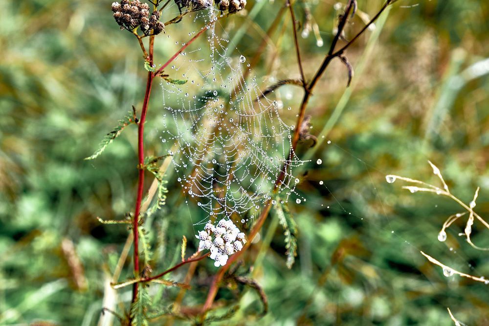 Photograph by Александр Потапов