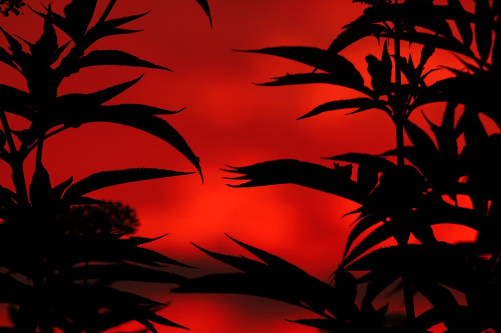 Photograph by hasan sorena jouri