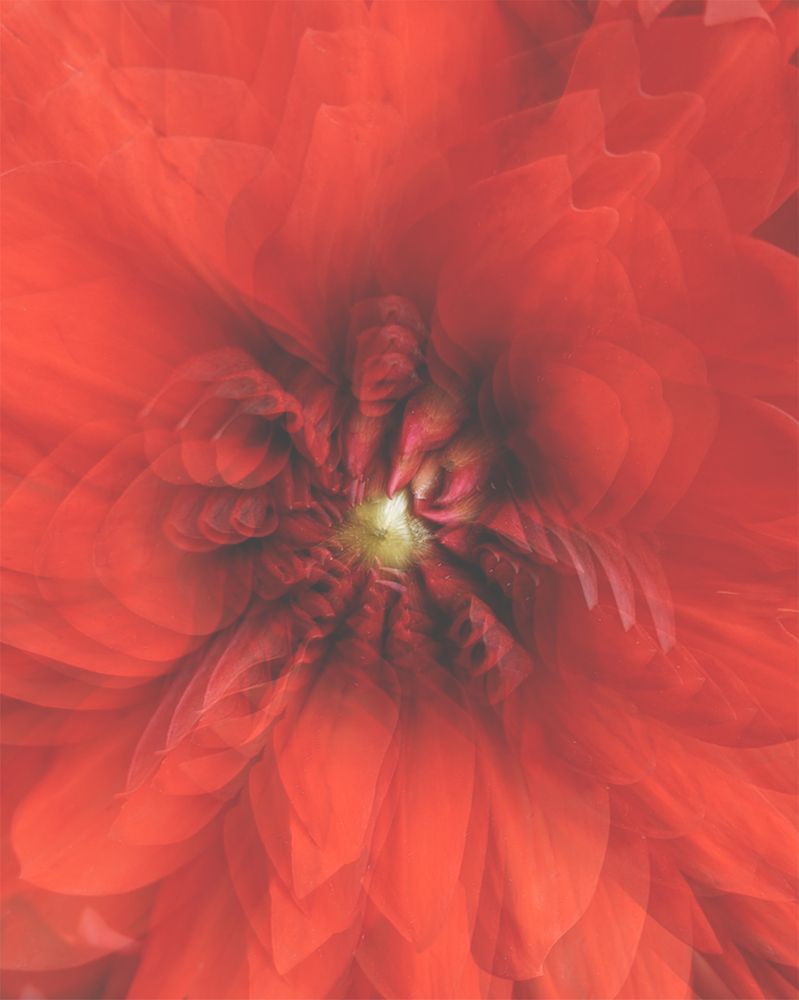 Photograph by Екатерина Кузнецова