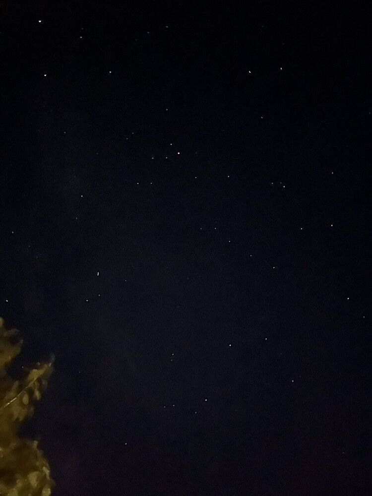 Photograph by Евгения Лазарева