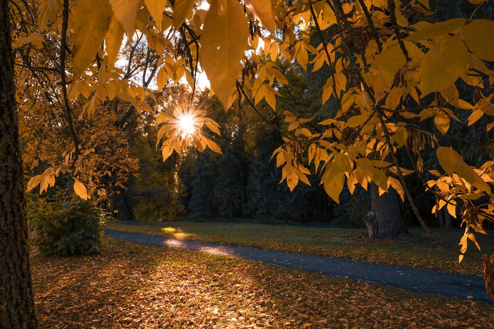 Photograph by Дарья Кончакова