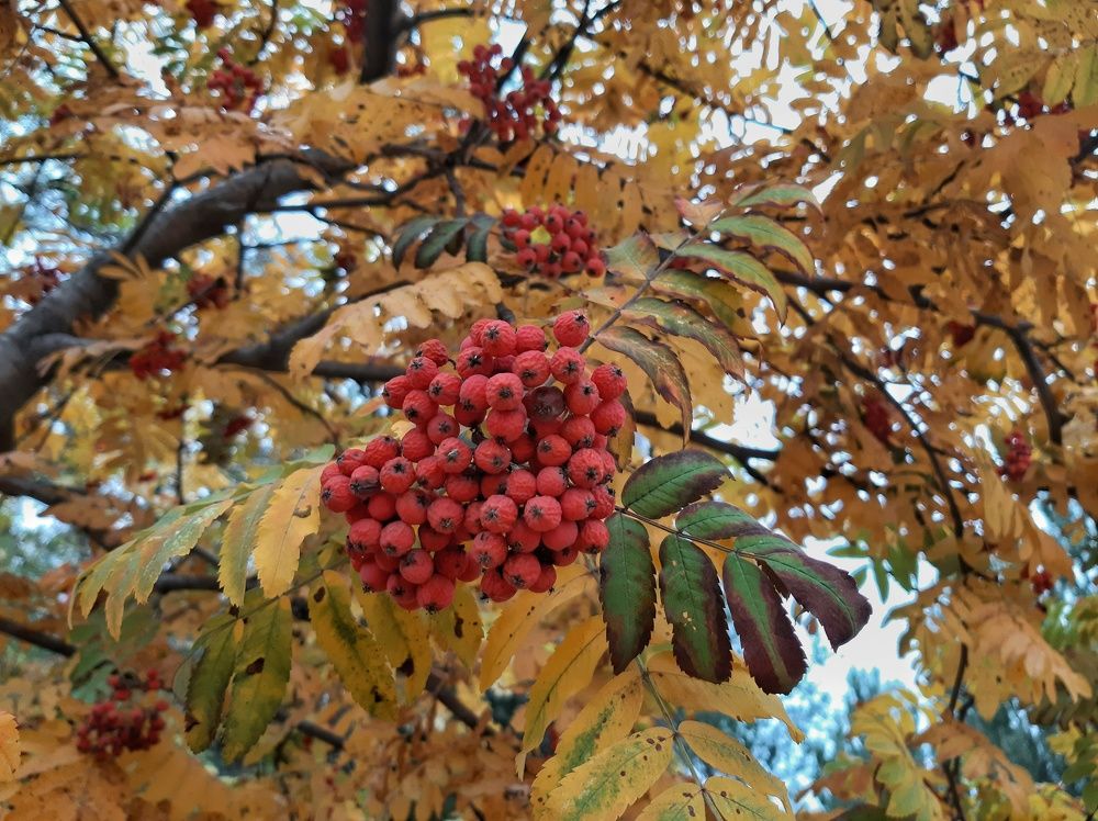 Photograph by Бакшеева Марина