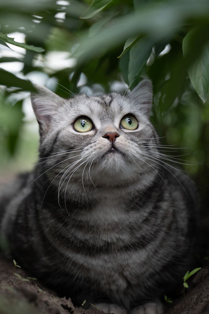 Photograph by Chen Chen