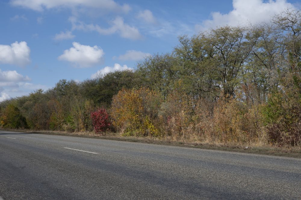 Photograph by Елена Петренко