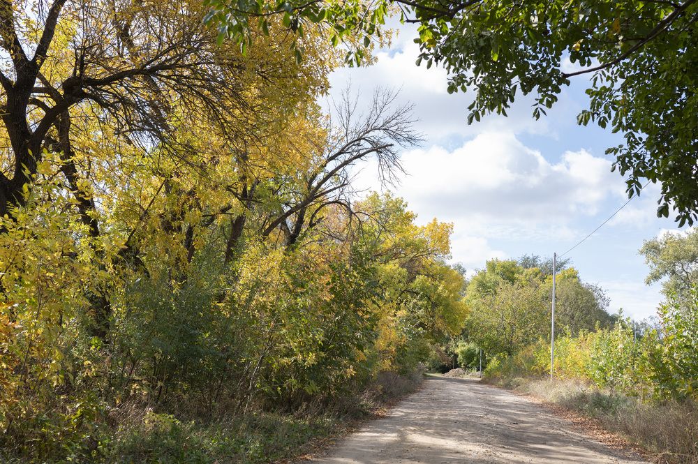 Photograph by Елена Петренко