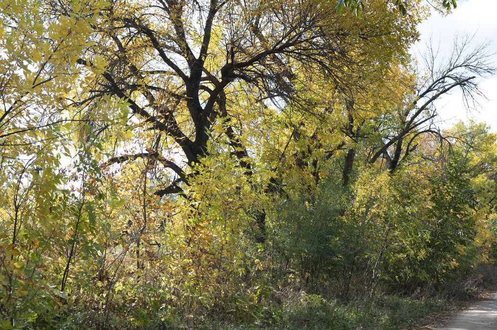 Photograph by Елена Петренко