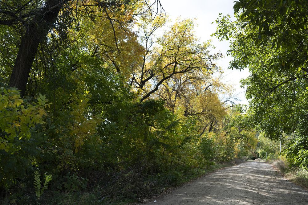 Photograph by Елена Петренко