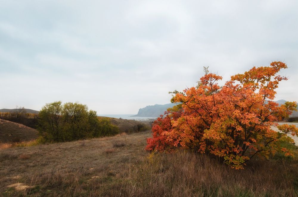 Photograph by Viktor Petrov